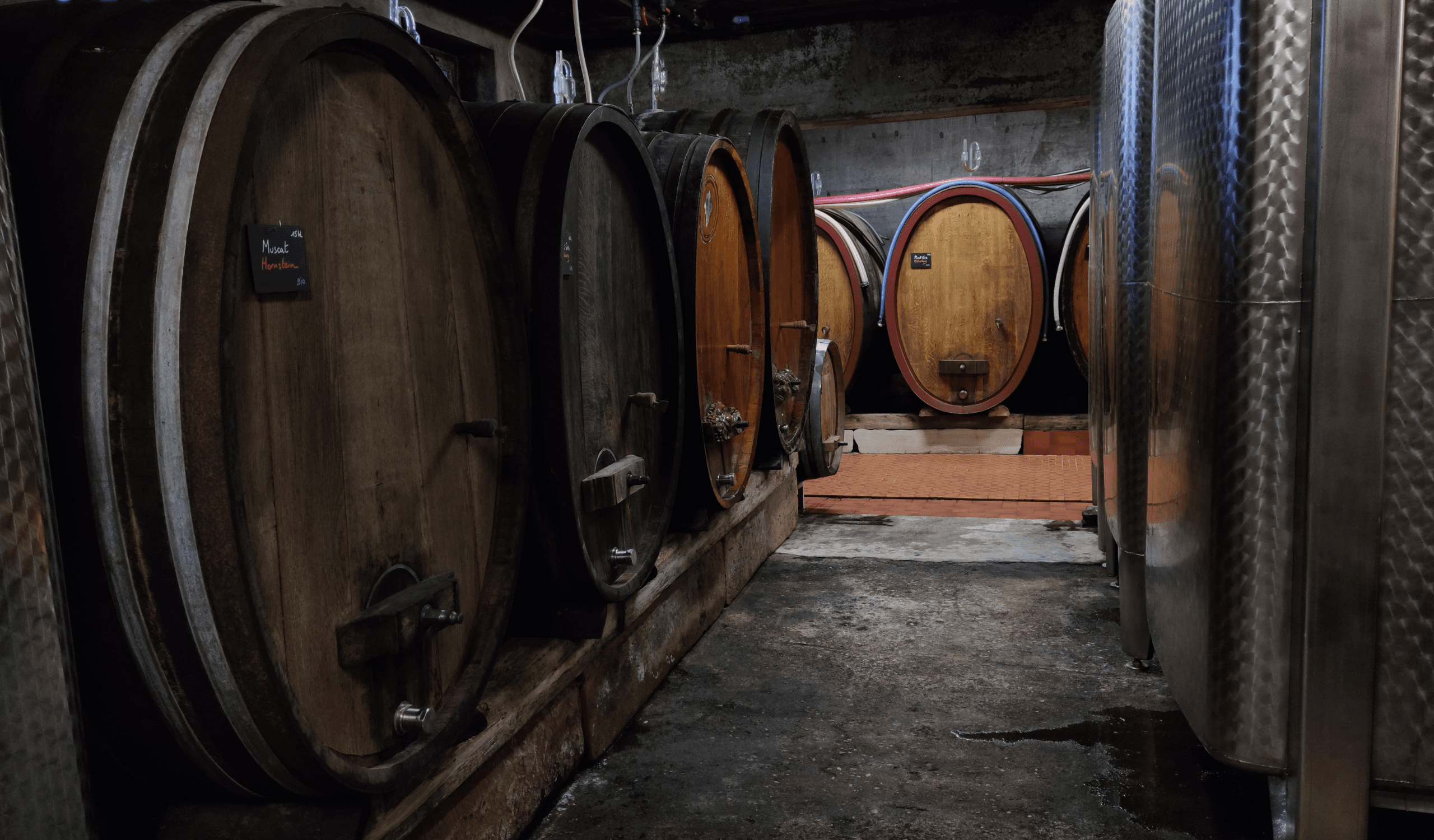 Design sans titre (6)