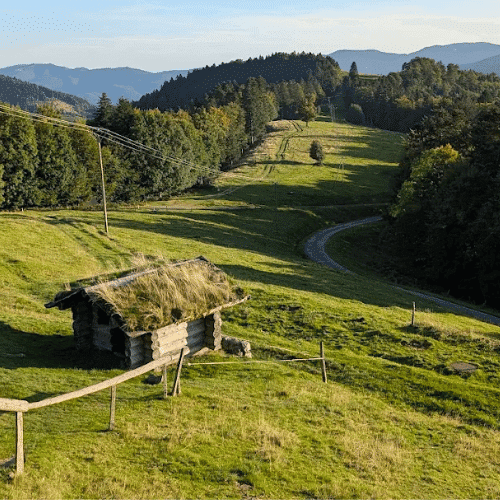 Paysage des Vosges alsaciennes près de la Ferme Auberge du Schafert avec pâturages et montagne