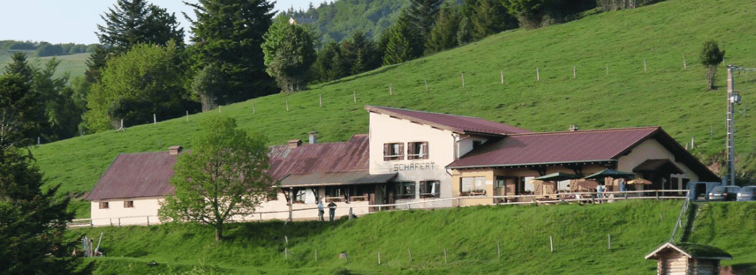 Ferme Auberge du Schafert à Soultz-Haut-Rhin dans les Vosges alsaciennes entourée de pâturages