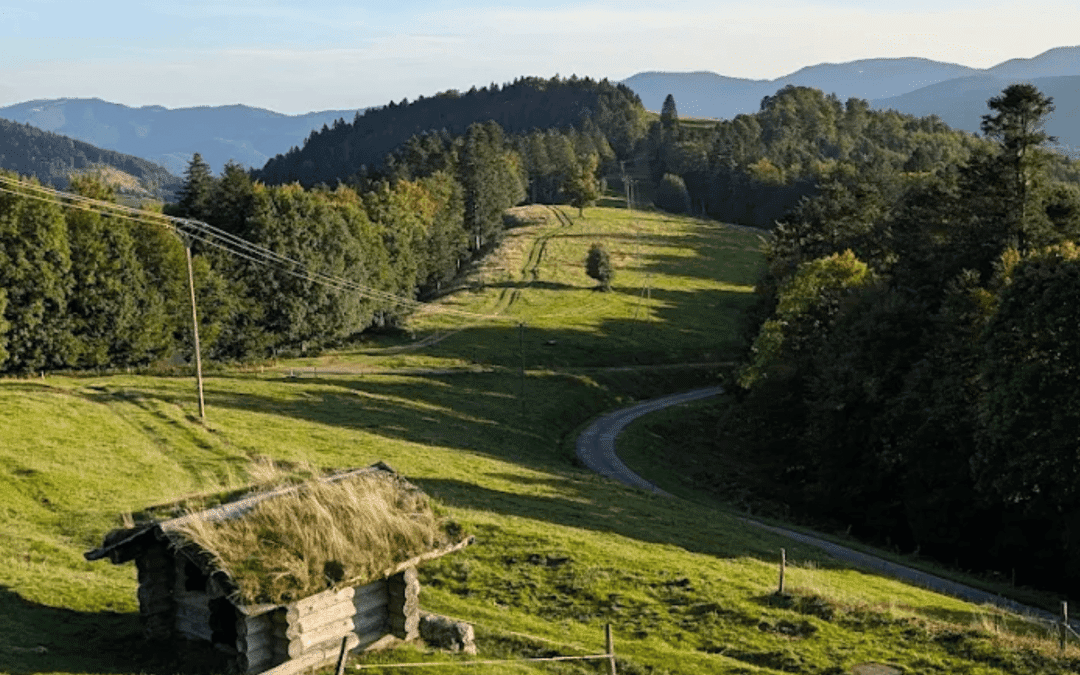 La ferme auberge du Schafert : notre avis et présentation